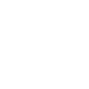 logo de espacio nehuen